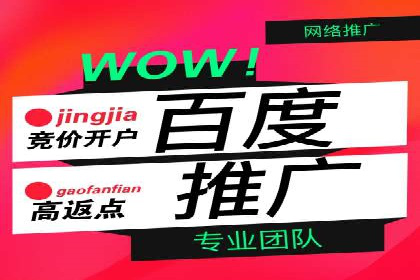 SEM推广策略：成功案例解析